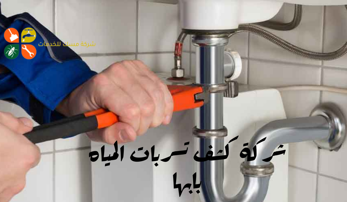 شركة كشف تسربات المياه بابها